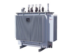 Transformaer: S9\ S11\ S13 Liquid Liquid Fulled အသွင်အပြင်းက်s